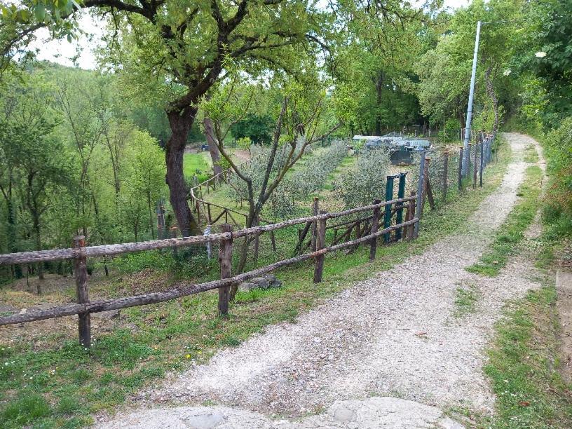 La Chimera Arezzo Esterno foto